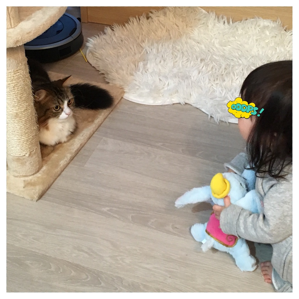 f:id:corocoropiggies:20180227233721j:image f:id:corocoropiggies:20180227233721j:image