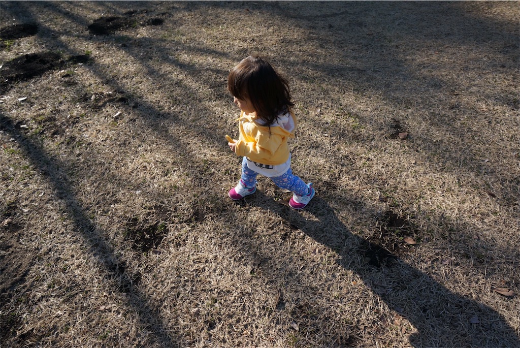 f:id:corocoropiggies:20180301171923j:image f:id:corocoropiggies:20180301171923j:image