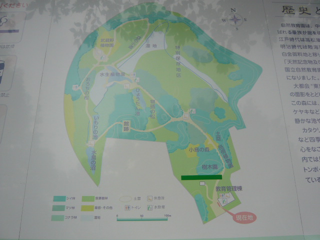 f:id:coroe:20131102120657j:image