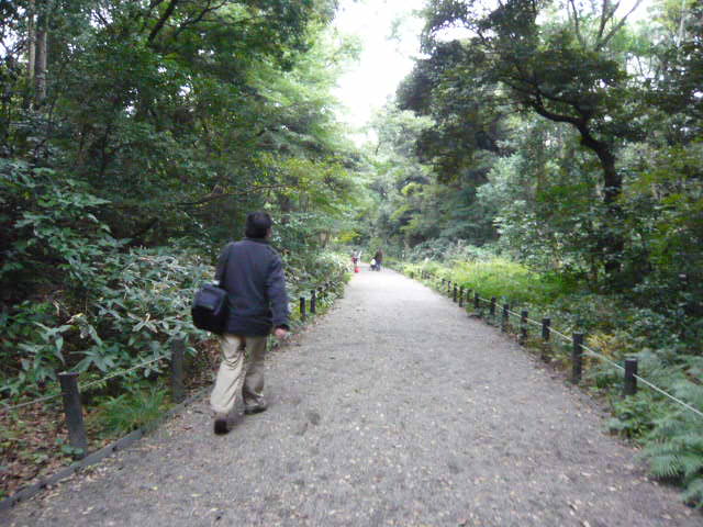 f:id:coroe:20131102121142j:image