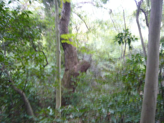 f:id:coroe:20131102122302j:image