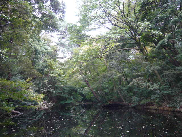 f:id:coroe:20131102122423j:image