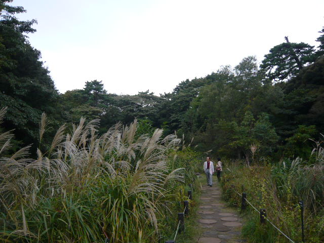 f:id:coroe:20131102122714j:image