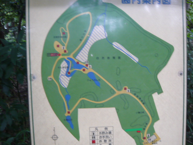 f:id:coroe:20131102123312j:image