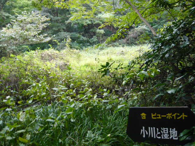 f:id:coroe:20131102124656j:image