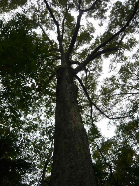 f:id:coroe:20131102124844j:image