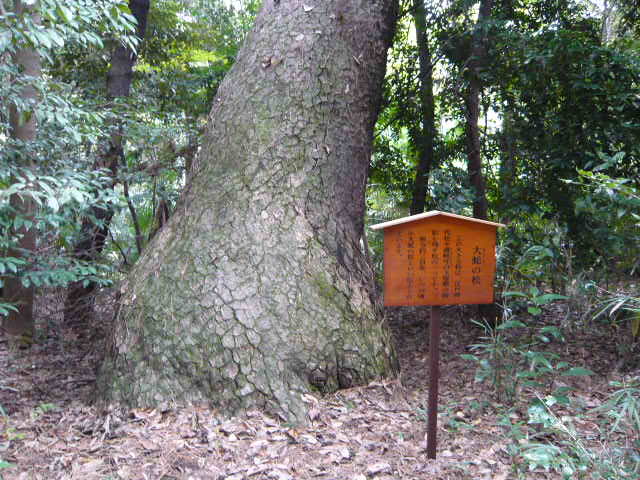 f:id:coroe:20131102125356j:image