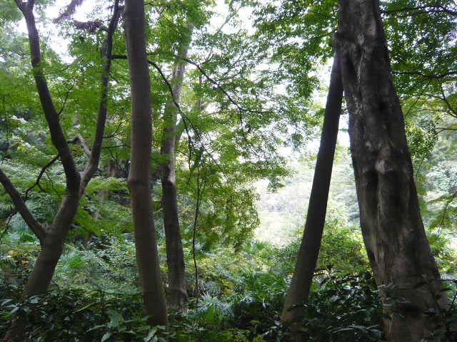 f:id:coroe:20131102125536j:image