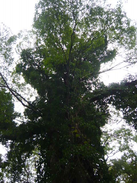 f:id:coroe:20131102125931j:image