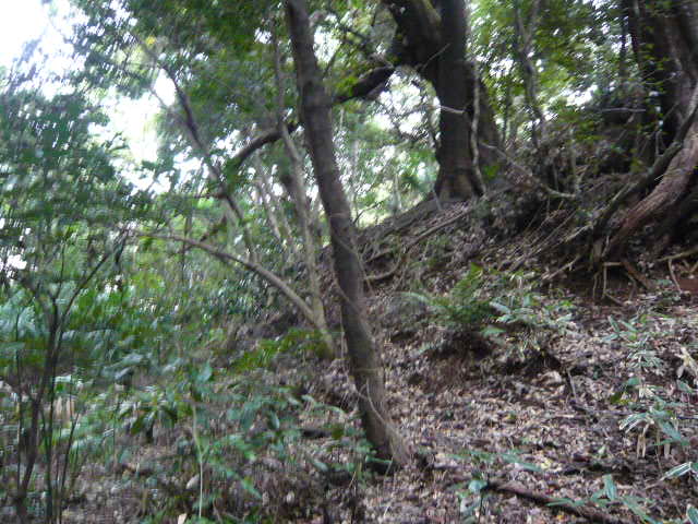 f:id:coroe:20131102130325j:image