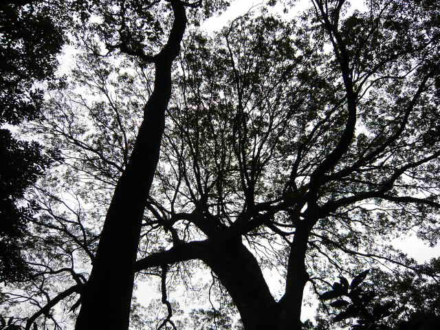 f:id:coroe:20131102130549j:image