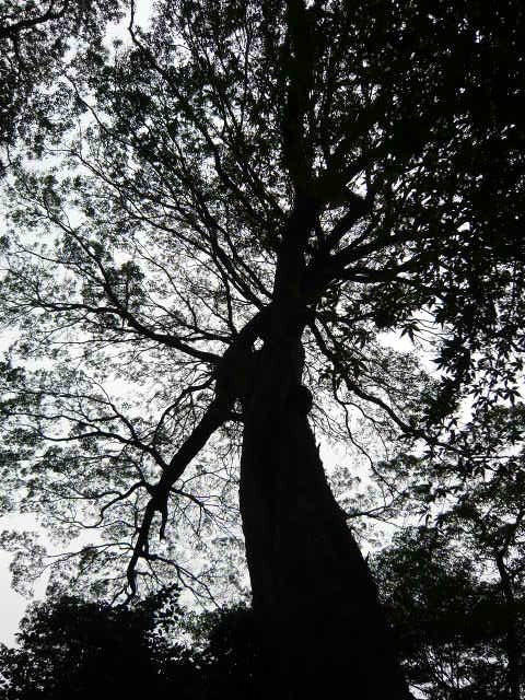 f:id:coroe:20131102130614j:image