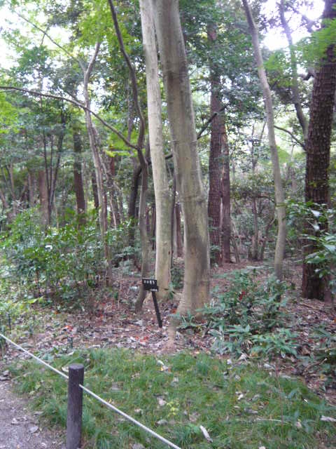 f:id:coroe:20131102131026j:image