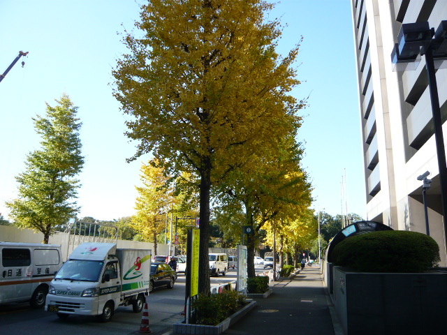 f:id:coroe:20131129111257j:image