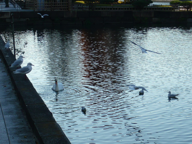 f:id:coroe:20131129111726j:image