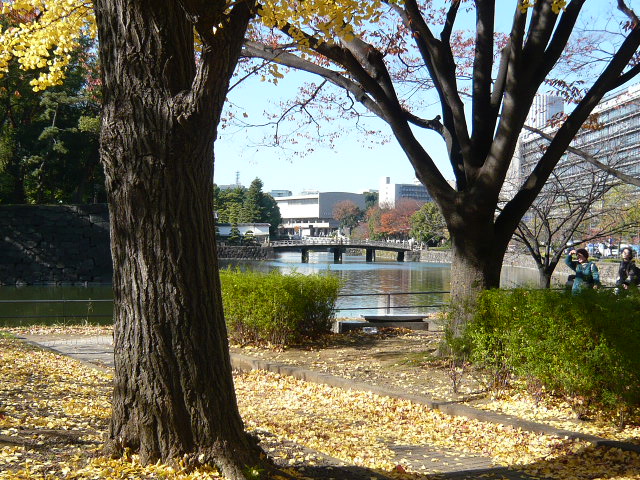 f:id:coroe:20131129112918j:image