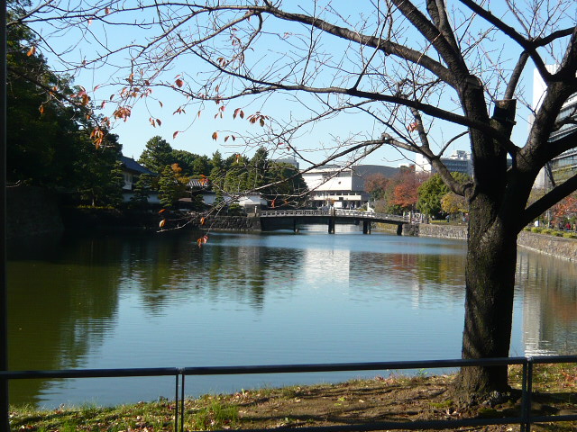 f:id:coroe:20131129112948j:image
