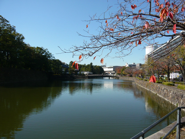 f:id:coroe:20131129113014j:image