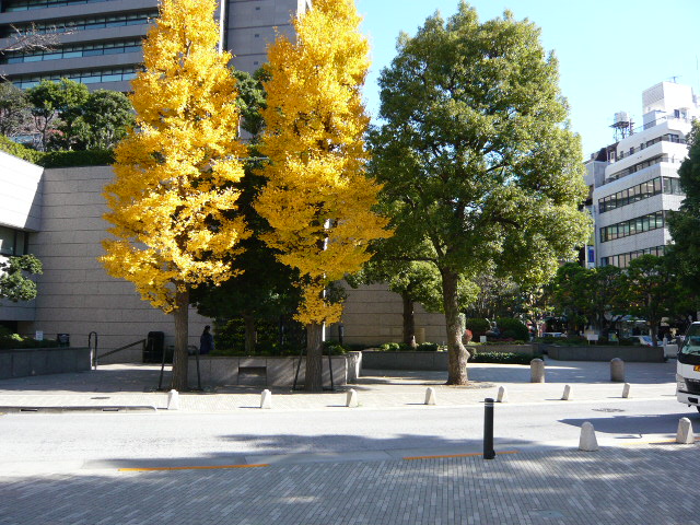f:id:coroe:20131129120827j:image