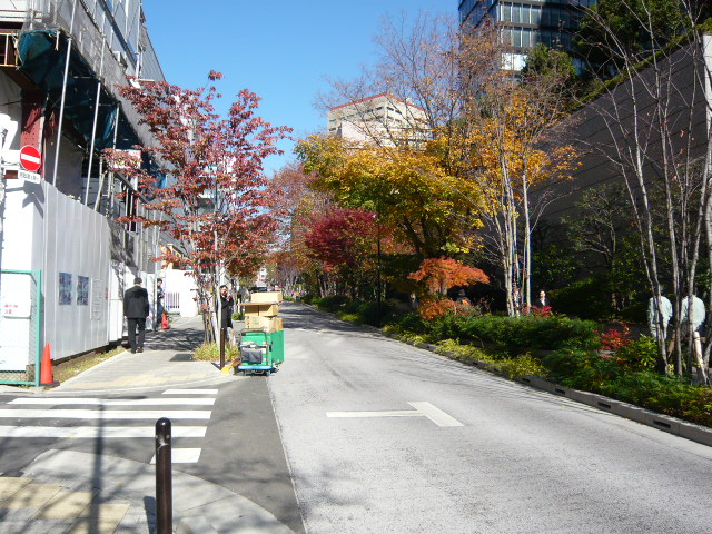 f:id:coroe:20131129120912j:image