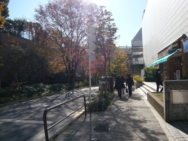 f:id:coroe:20131129121055j:image
