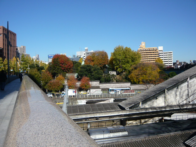 f:id:coroe:20131129122209j:image