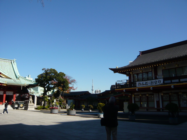 f:id:coroe:20131129123505j:image