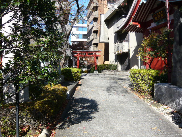 f:id:coroe:20131129124408j:image