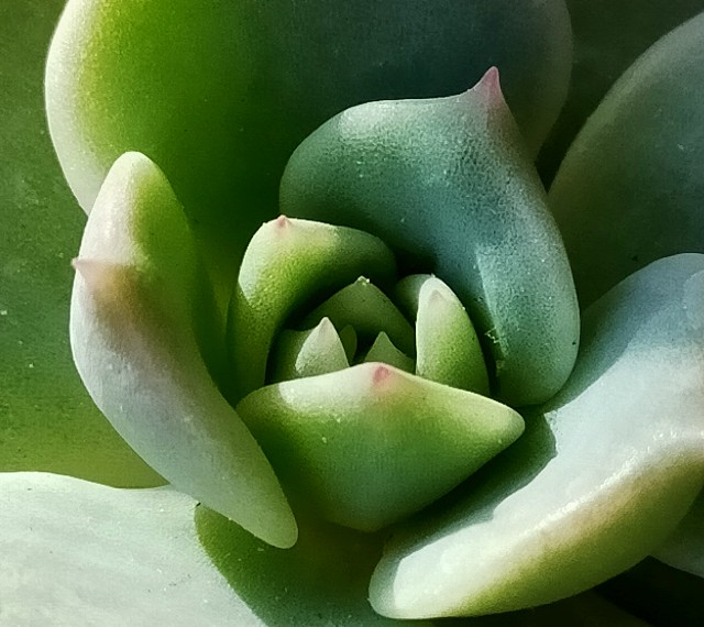 f:id:corohako:20201115145116j:image f:id:corohako:20201115145116j:image