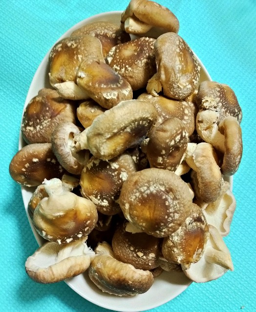 f:id:corohako:20201217205307j:image f:id:corohako:20201217205307j:image