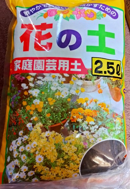 f:id:corohako:20201228170945j:image