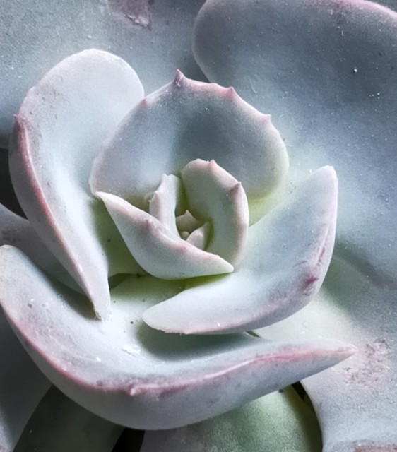 f:id:corohako:20211027211917j:image