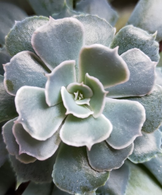 f:id:corohako:20211028184115j:image