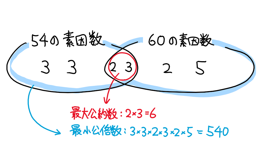 束群