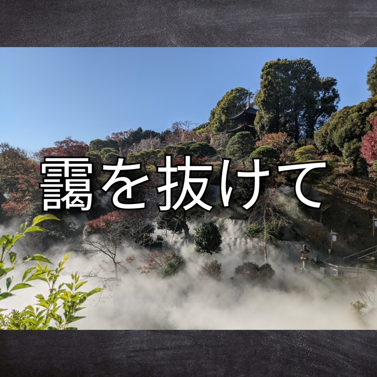 夏期志望校錬成特訓と家庭学習に関する大いなる誤解〜カキシ、SS