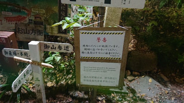 f:id:corruptcleaning:20190413064003j:image f:id:corruptcleaning:20190413064003j:image