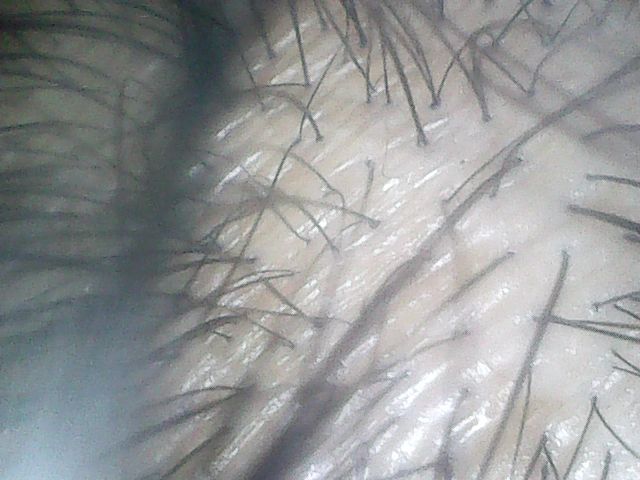 f:id:corryvreckan:20181119121054j:plain