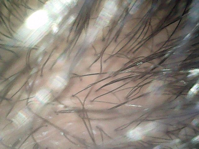 f:id:corryvreckan:20181210185022j:plain