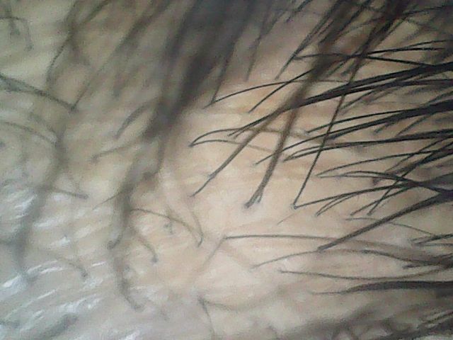 f:id:corryvreckan:20181217135432j:plain