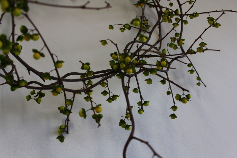 f:id:corsage515:20130717183907j:image