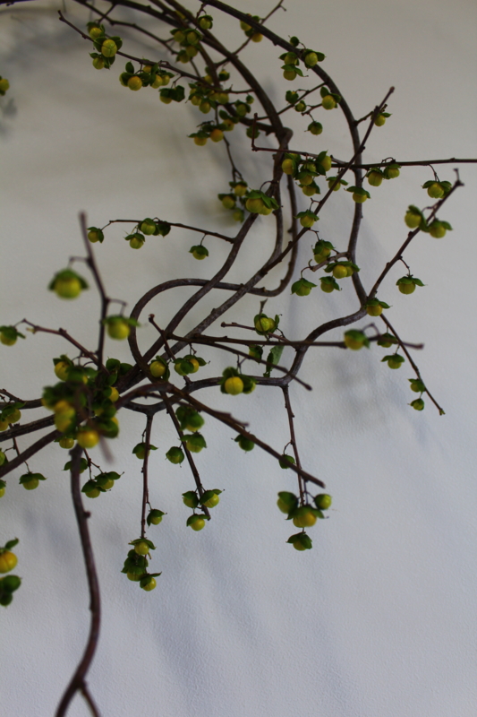 f:id:corsage515:20130717183924j:image