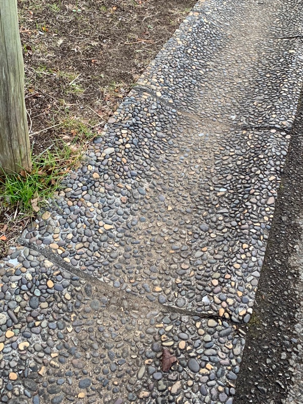 f:id:corunu:20190113215710j:plain