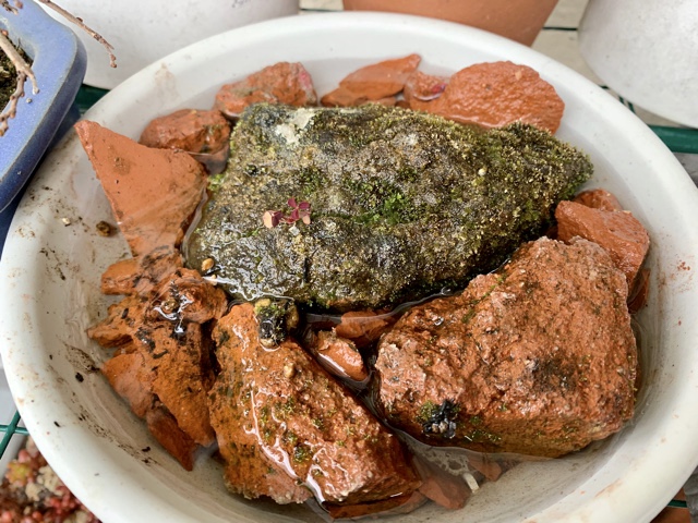 f:id:corunu:20200107174307j:plain