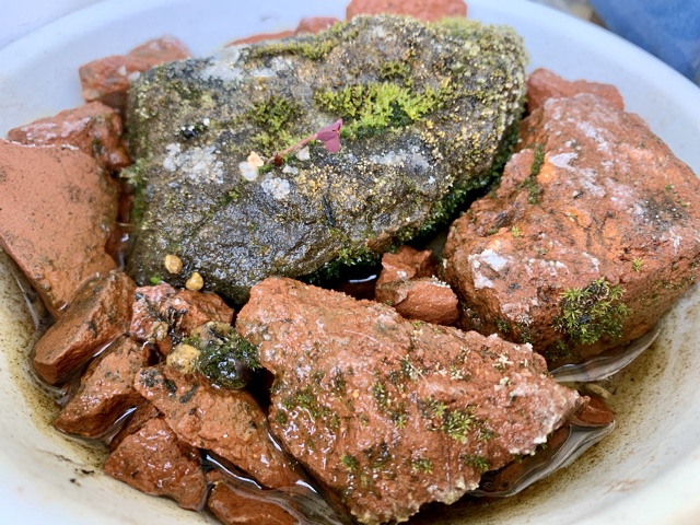 f:id:corunu:20200107174325j:plain