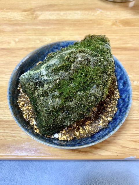 f:id:corunu:20200107174457j:plain