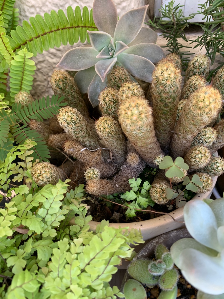 f:id:corunu:20200910191122j:plain