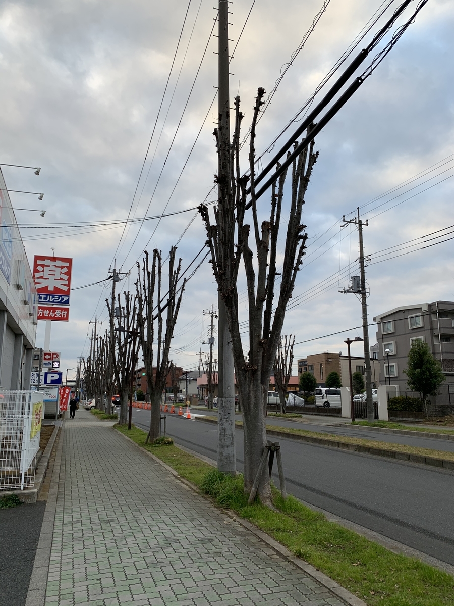 f:id:corunu:20201221130840j:plain