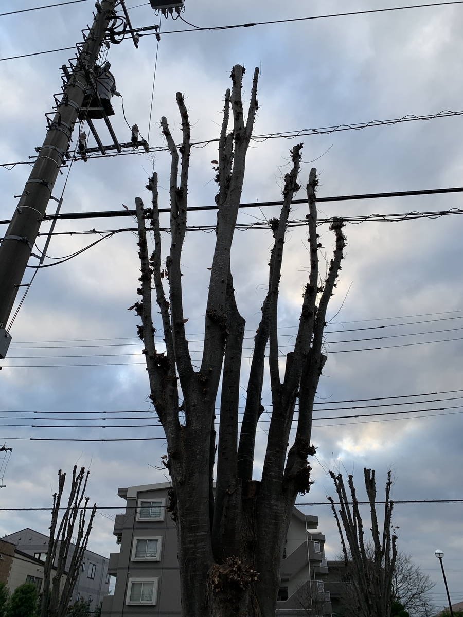 f:id:corunu:20201221130902j:plain