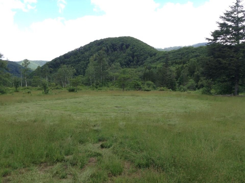 f:id:coruri:20140708191734j:plain