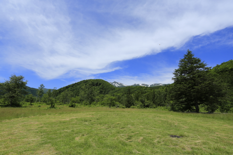 f:id:coruri:20140716183840j:plain f:id:coruri:20140716183840j:plain